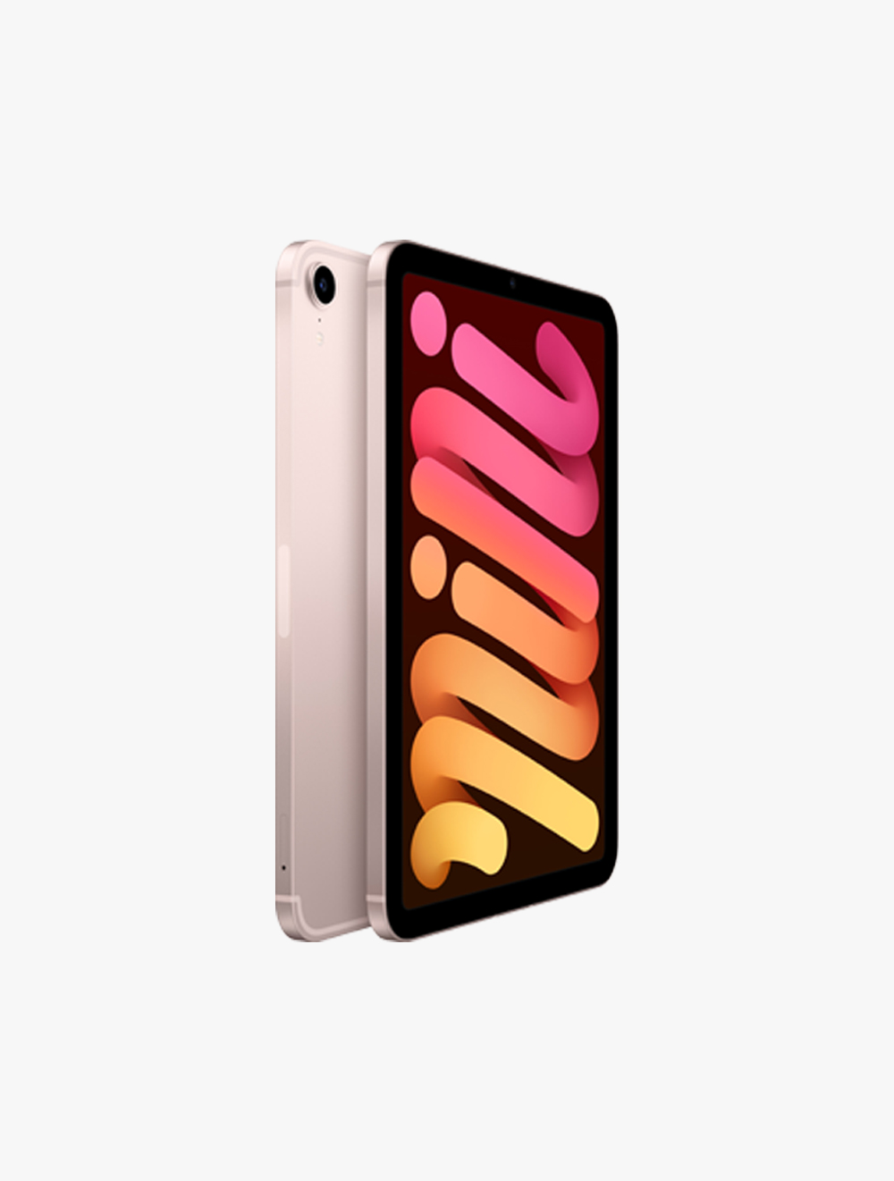 iPad mini 6th Generation Wi-Fi + Cellular 256GB Pink