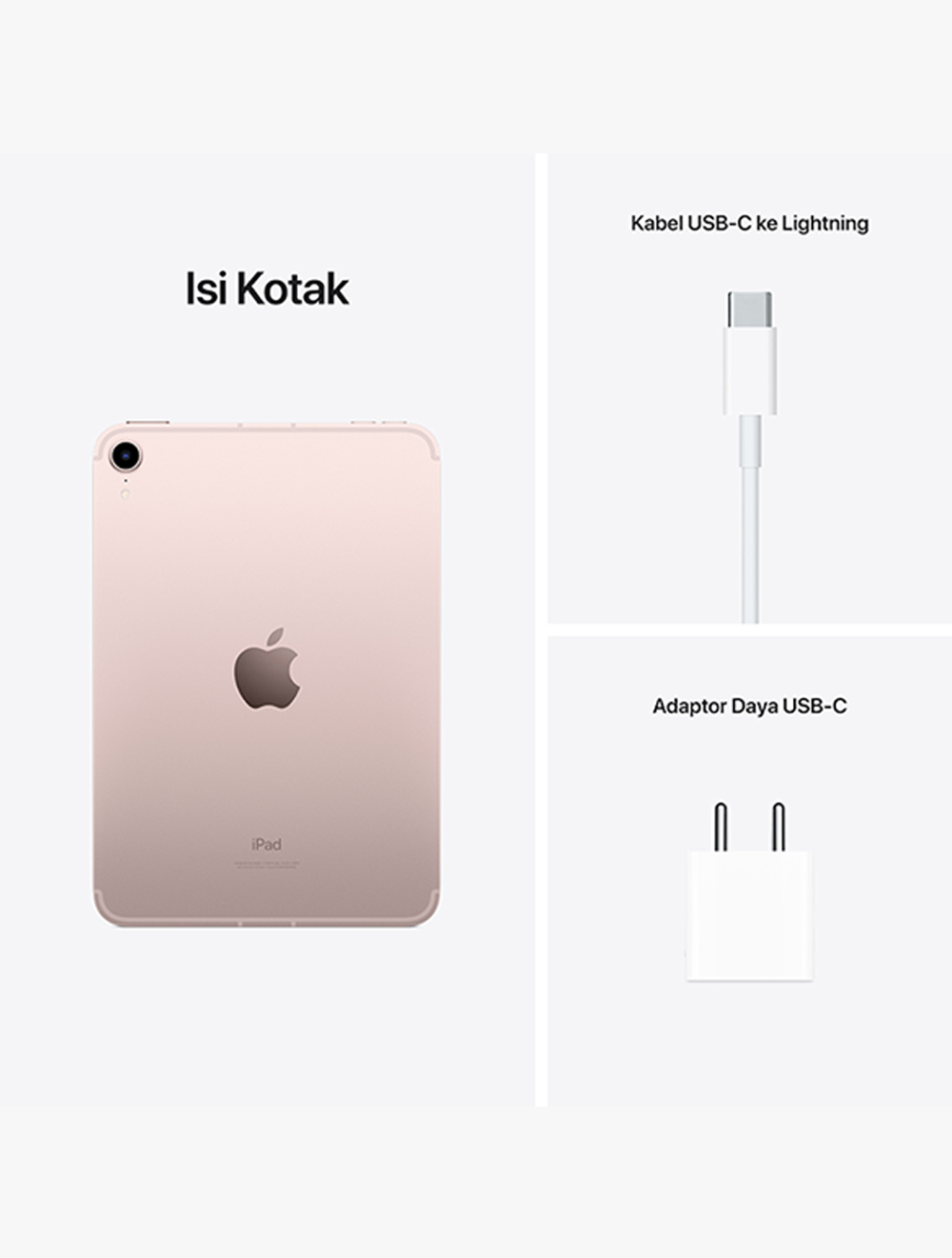 iPad mini 6th Generation Wi-Fi + Cellular 256GB Pink