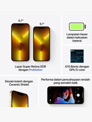 iPhone 13 Pro Max 1TB Gold7