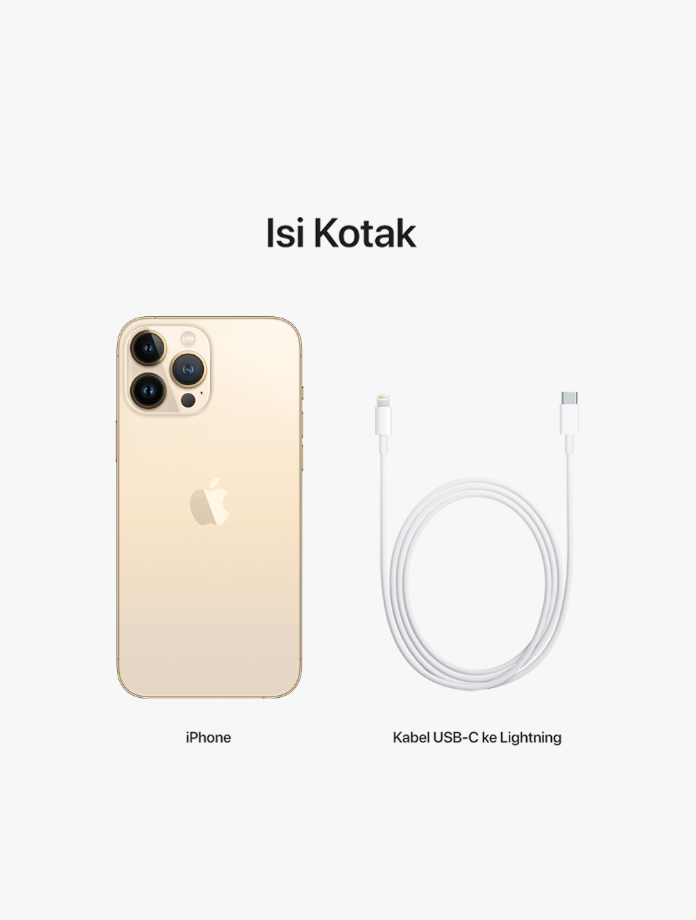 iPhone 13 Pro Max 1TB Gold thumbnail 10